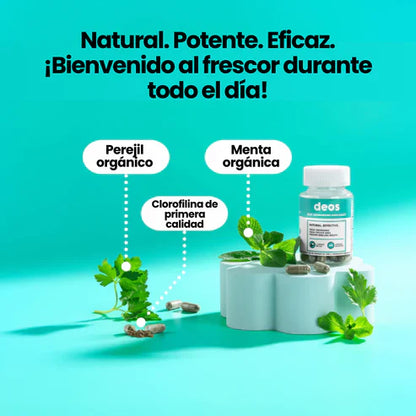DEOS - SUPLEMENTO CERTIFICADO